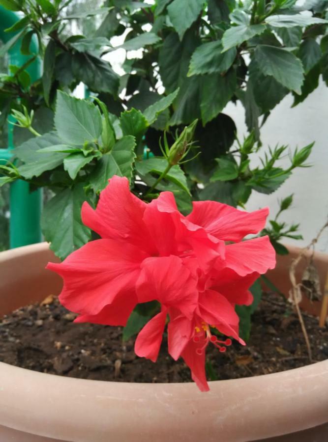 플라야 온다 Casa Lanza 빌라 외부 사진